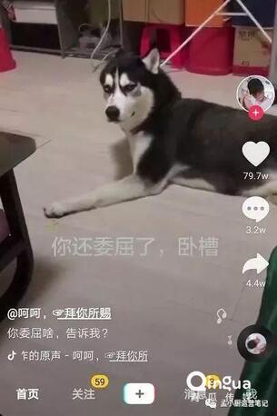 怎么做抖音？抖音6種運(yùn)營推廣技巧！